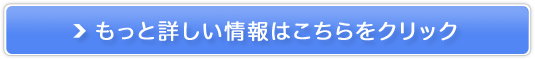 \邾ȒP̃zCgjOe[v Xm[VC̔TCg